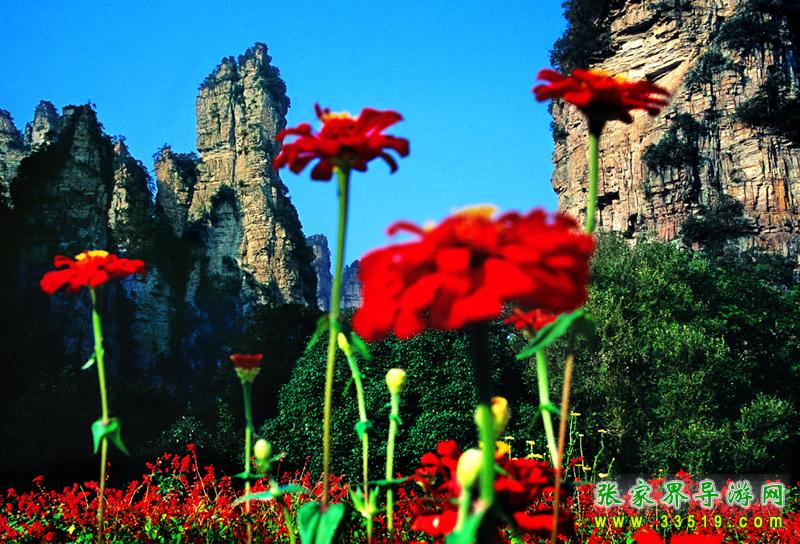張家界國家森林公園——中國第一個國家森林公園