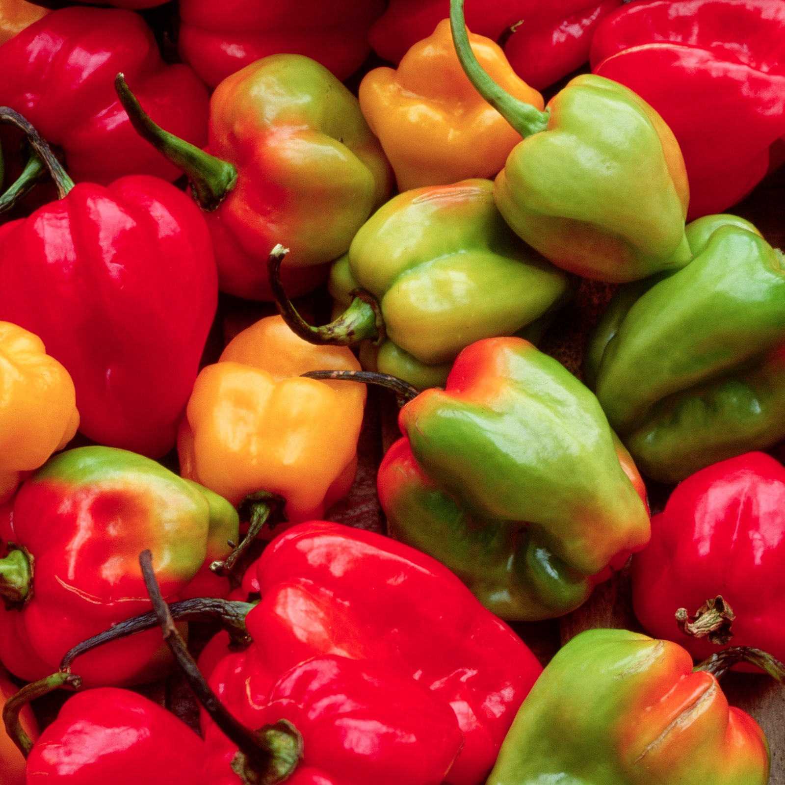 Cucumbers, Peppers, and a Bunch of Other Veggies Were Just Recalled Due to Listeria Concerns